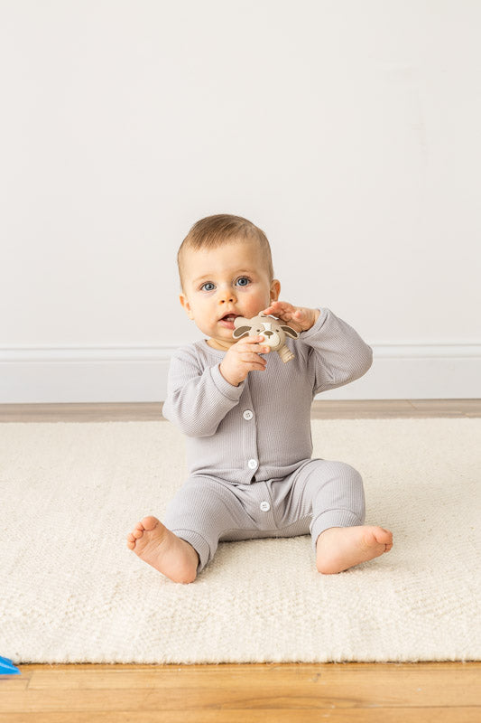 Ritzy Baby Molar Teether - Puppy